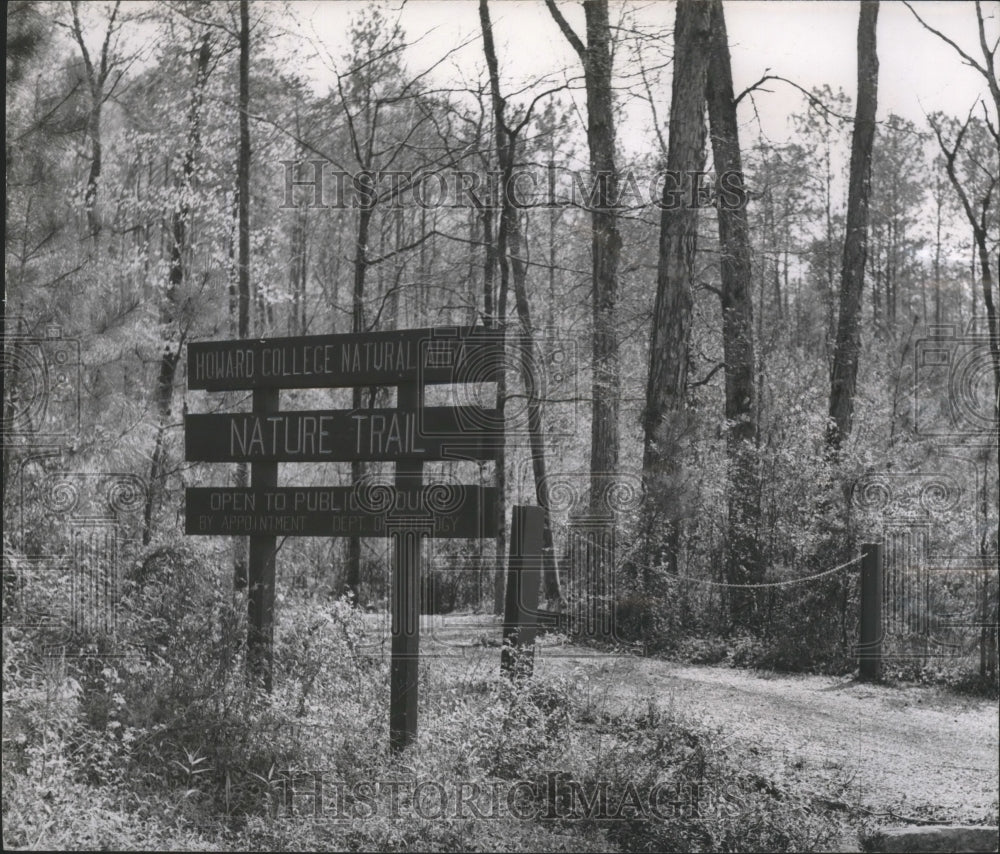 1966 Howard College now Samford University, Nature Trail, Alabama-Historic Images