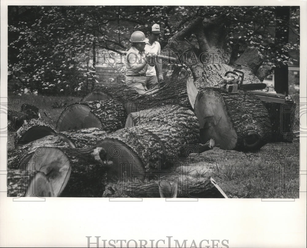 1991 Press Photo Workers removing trees on Montebello Road, Mt. Brook, Alabama - Historic Images