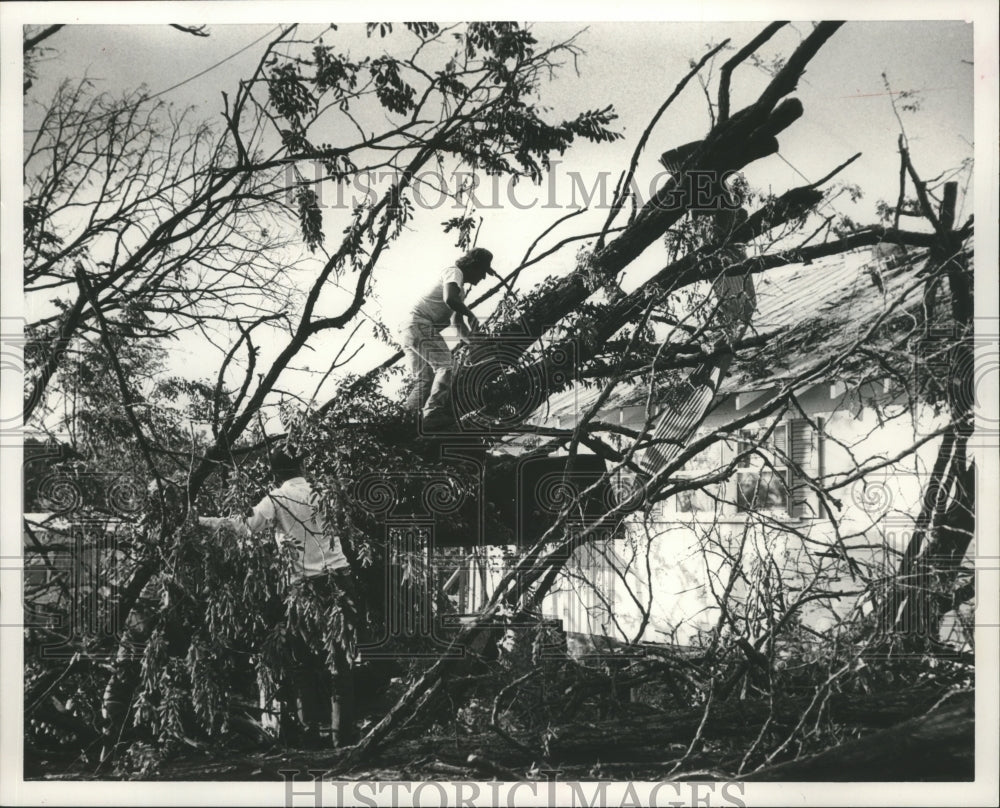 1991 Press Photo Storm damage in Locust Fork, Alabama - abna12155 - Historic Images