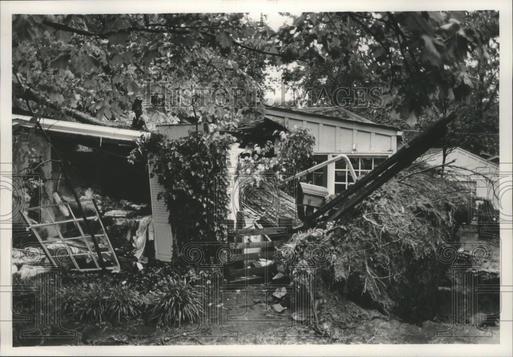 1991 Press Photo Fallen tree on W. H. Thomas residence in Homewood, Alabama - Historic Images