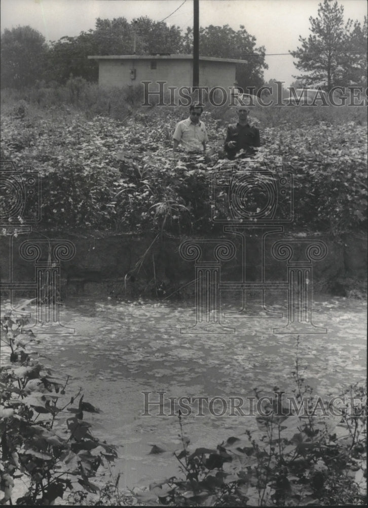 1977 Press Photo Lime sinkhole in Harpersville, Alabama - abna12598 - Historic Images