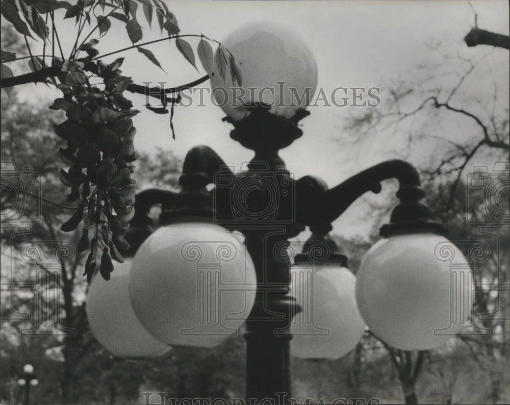 1979 Press Photo Globed lights on University of Montevallo campus, Alabama - Historic Images