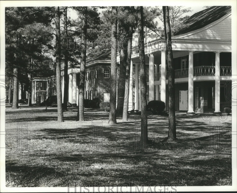 Press Photo University of Alabama Fraternity Row, Birmingham - abna12725 - Historic Images