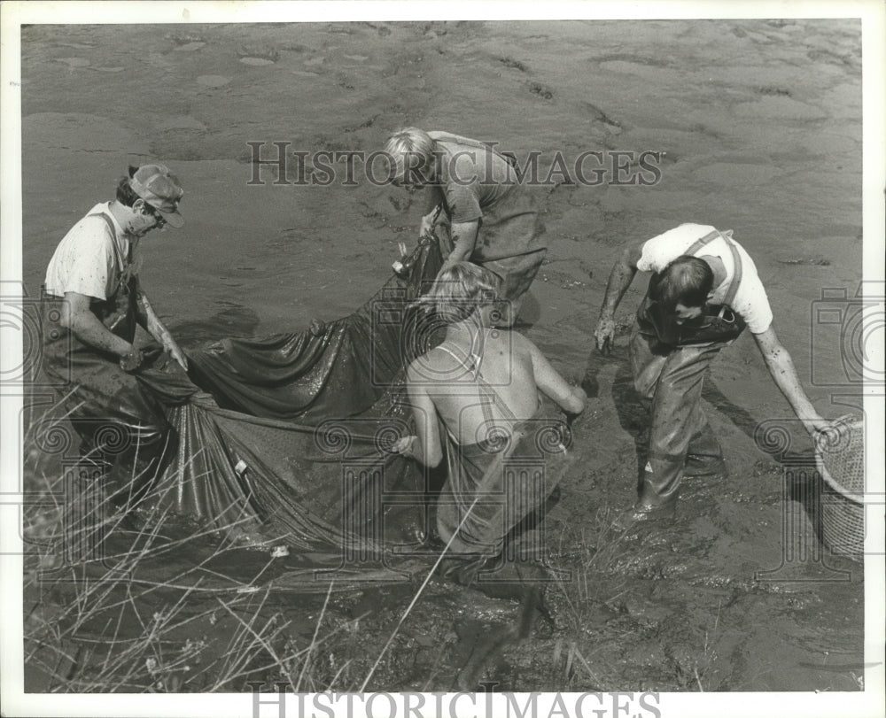 1981 Press Photo Biologists at shrimp and tilapia pond, Tenn. Valley Authority - Historic Images