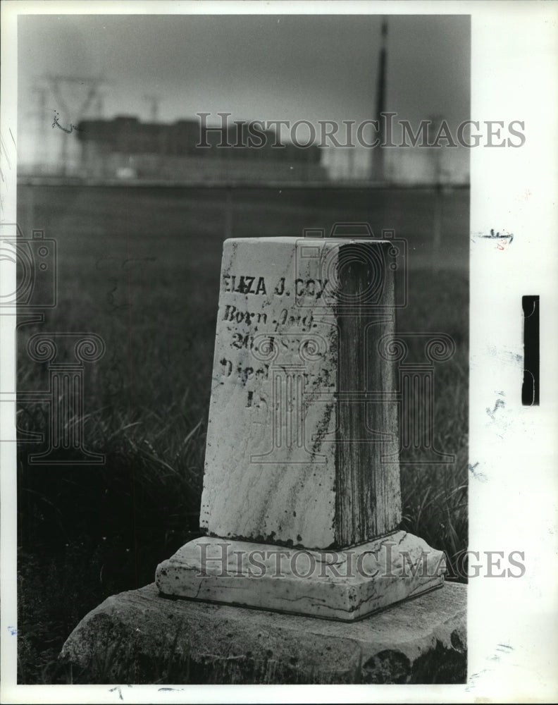 1979 Press Photo Cemetery being moved for new nuclear plant at Brown's Ferry - Historic Images