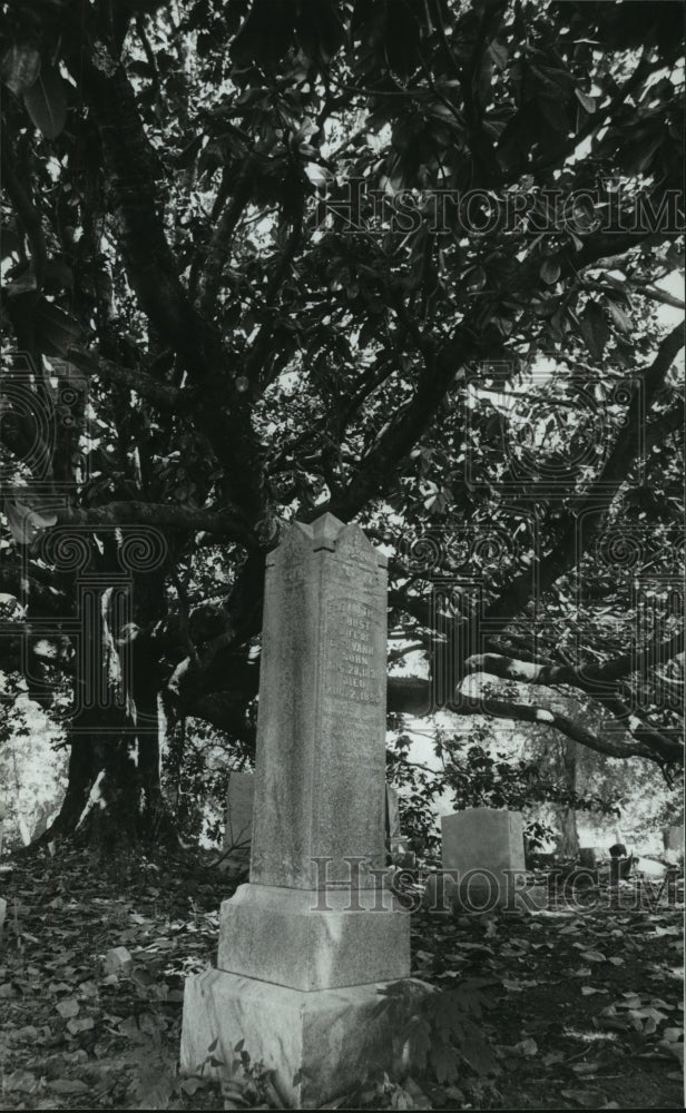 1981 Press Photo Magnolia tree frames headstone at cemetery in Trussville - Historic Images