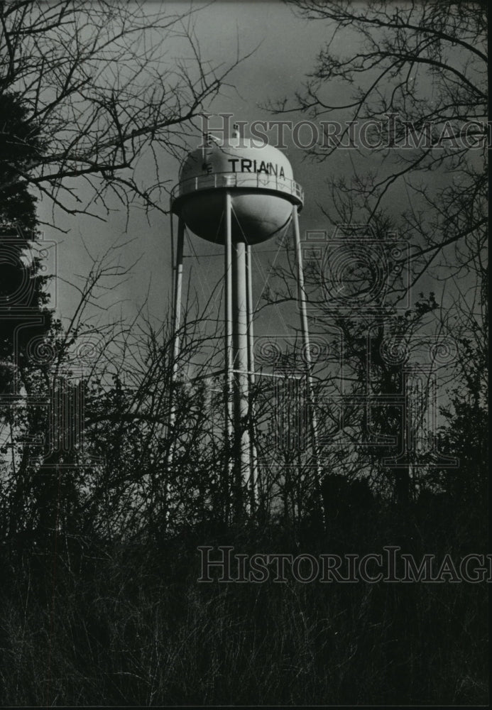 1983 Press Photo Water tower hovers over Triana, Alabama - abna13087 - Historic Images