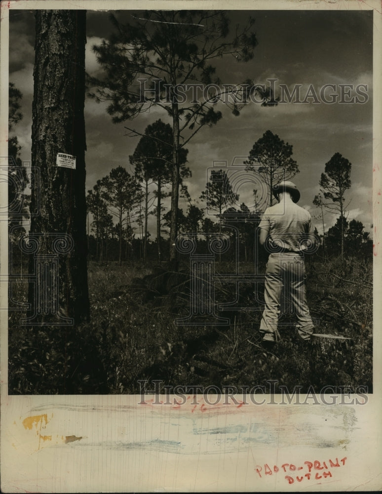 1964 Press Photo Birmingham, Alabama forest trooper - abna13101 - Historic Images