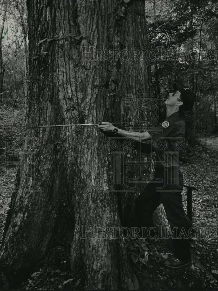 1987 Press Photo Ranger, Mike Wilcox, measures tree in Birmingham, Alabama - Historic Images