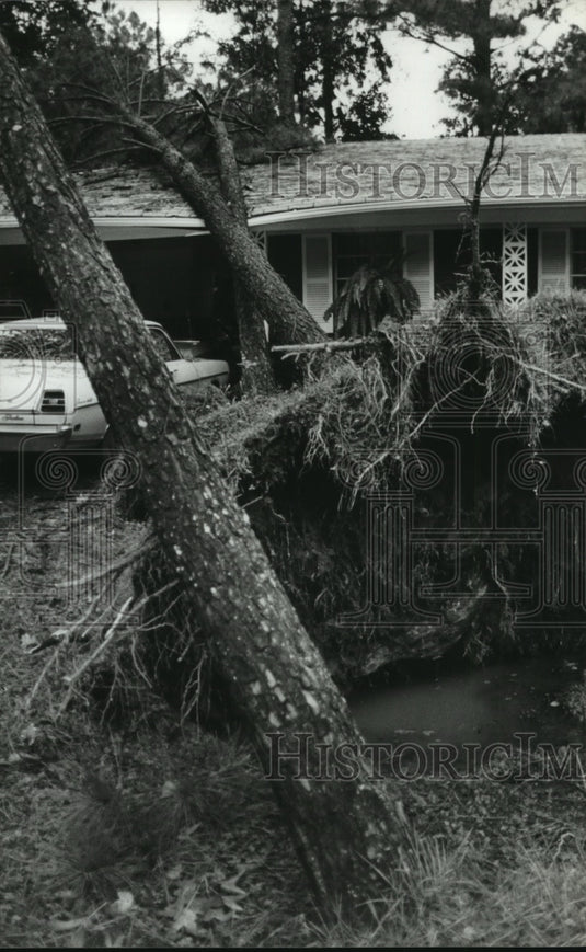 1979, Perry Family Hit by Hurricane Frederic, Alabama - abna13868 - Historic Images