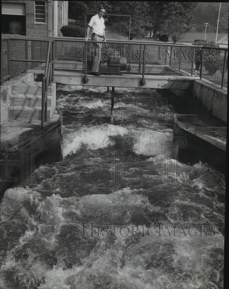 1978, Sanitation and Sewage Plat, Shades Valley, Alabama - abna13934 - Historic Images