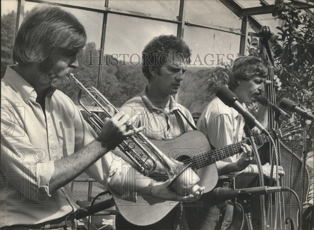 1983 Press Photo Three on a String band performs - abna14403 - Historic Images