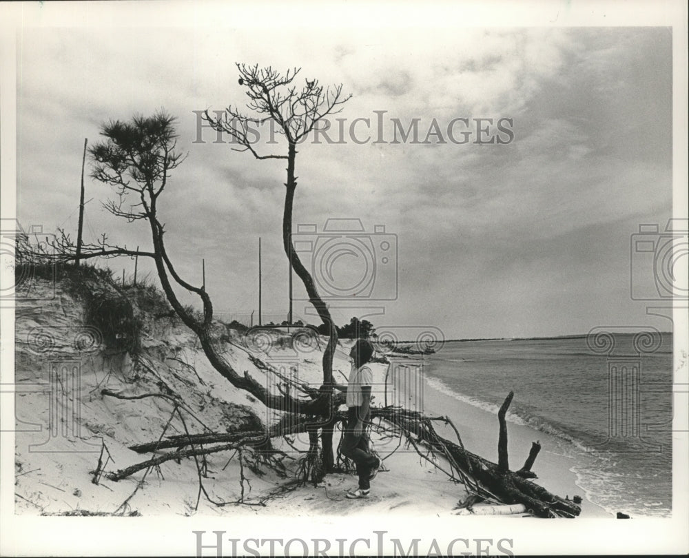 1985, Dr. George Crozier inspects tree at Gulf Shores, Alabama - Historic Images