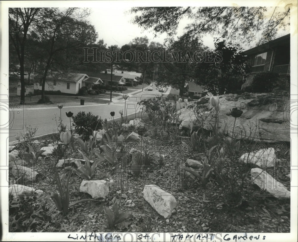 1980, Tarrant Gardens on Linthicom Street, Tarrant, Alabama - Historic Images