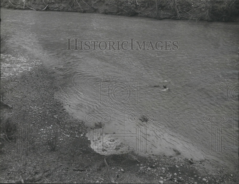 1972 Sayre sewage polluting Locust Fork, Sayre, Alabama - Historic Images