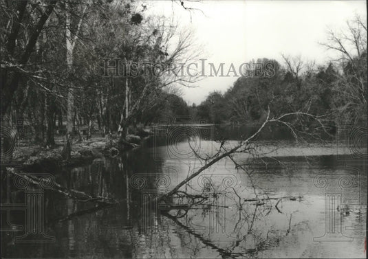1981, Indian Creek has become man-made lake, Triana, Alabama - Historic Images