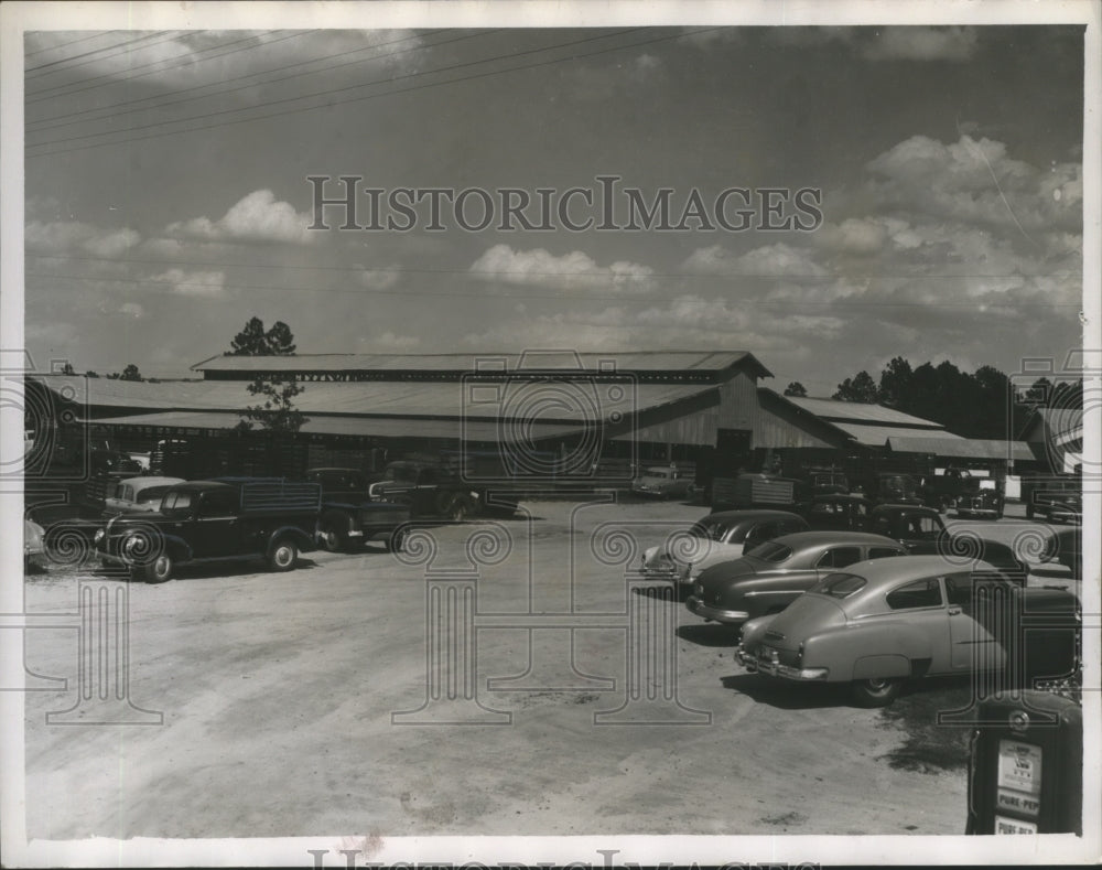 1953, Many cars outside Livestock Co-op Building, Geneva, Alabama - Historic Images