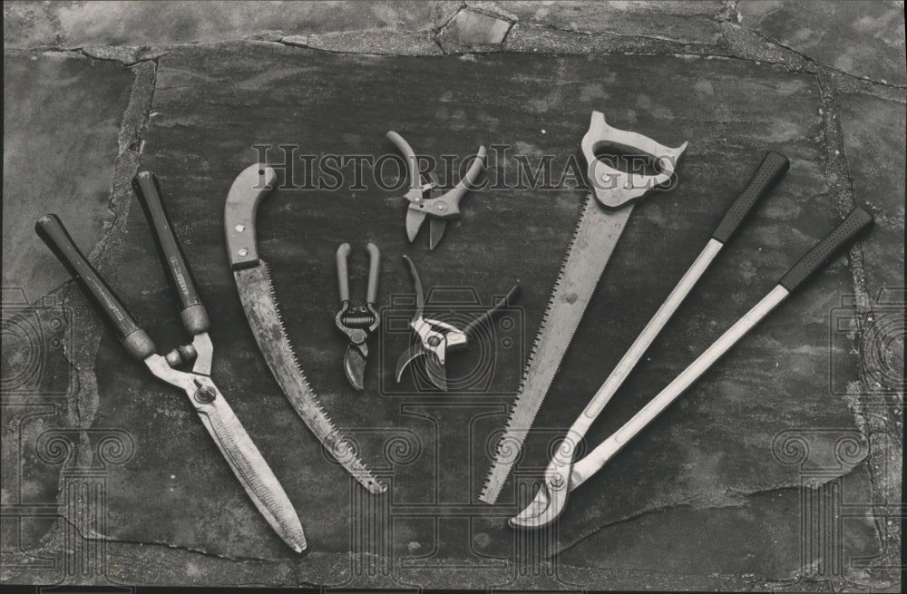 1985 Collection of pruning tools - Historic Images