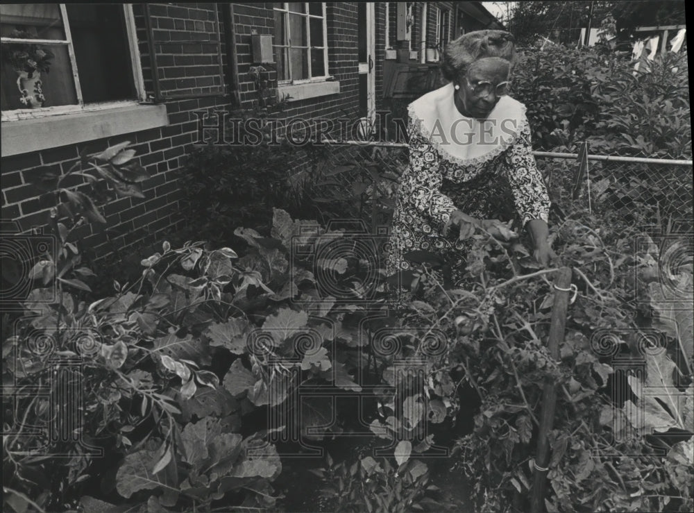 1982 Annie Griar, wins third place with he garden, Alabama - Historic Images
