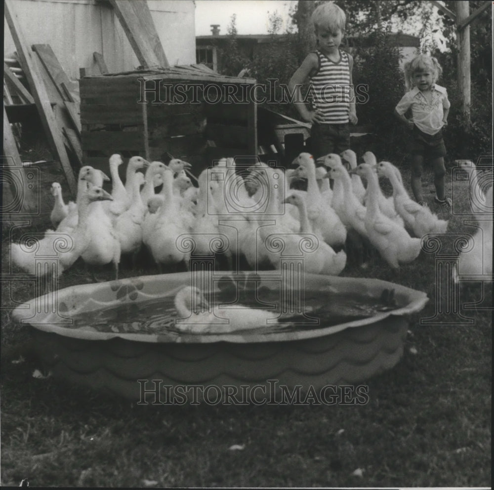 1978 Children Enjoy Baby White Chinese Weeder Geese, Alabama - Historic Images