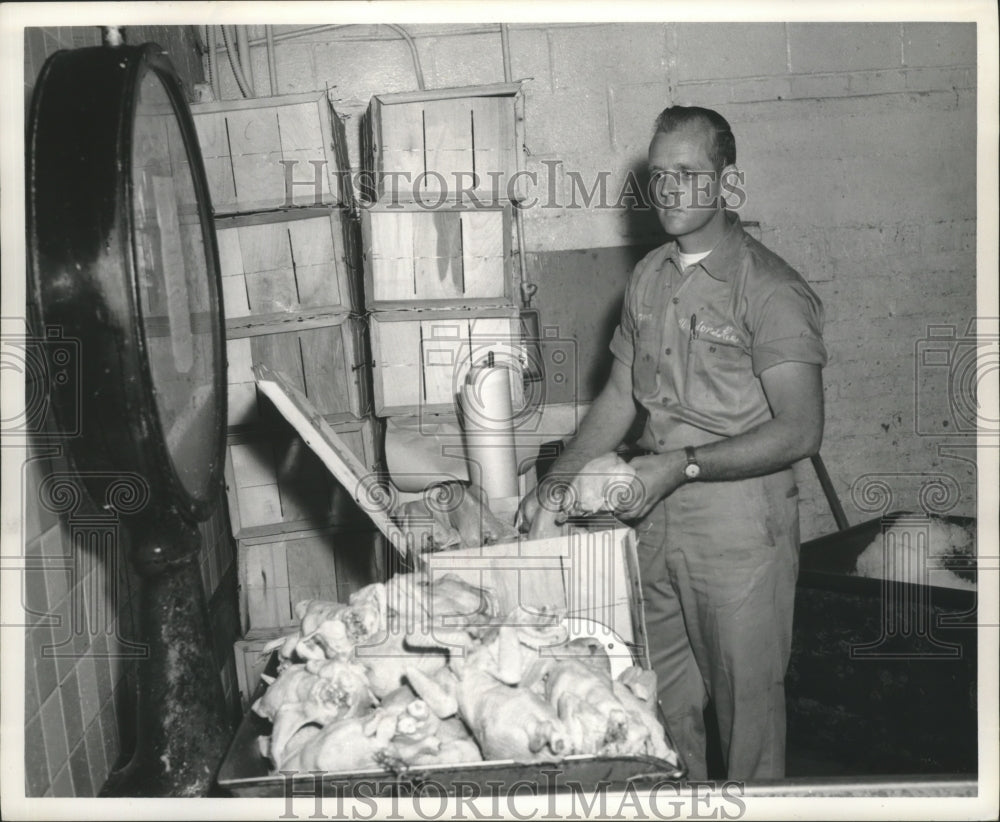 1964, Fowls, Chickens, Man processing Chickens in Warehouse - Historic Images