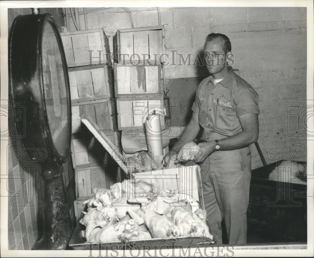 1964, Fowls, Chickens, Man processing Chickens at Warehouse - Historic Images