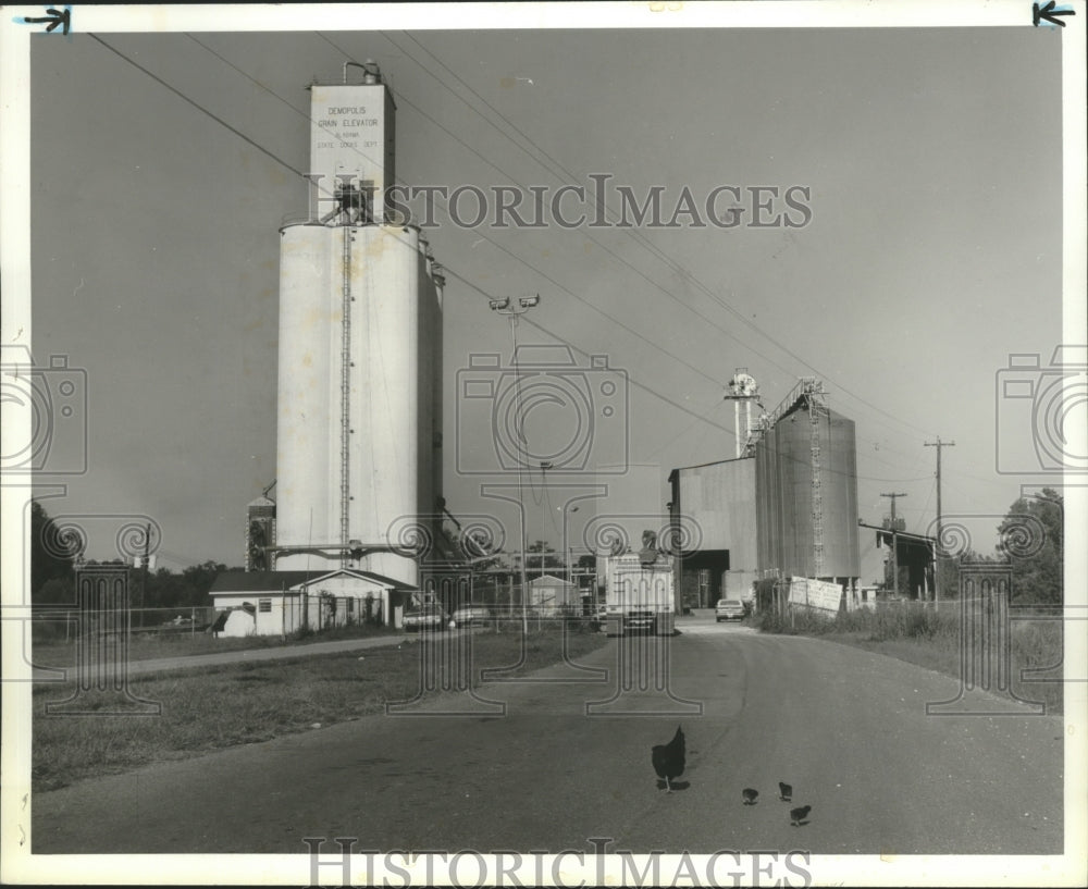 1980 Demopolis, Alabama, Demopolis Grain Elevator - Historic Images