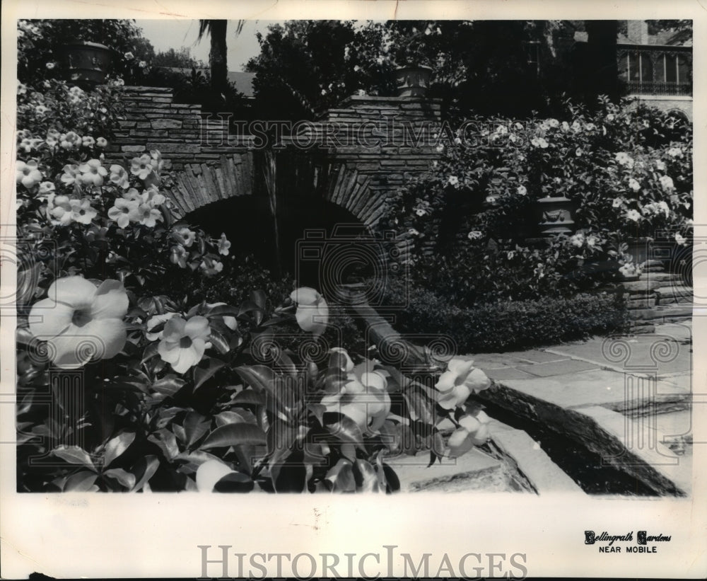 1964, Grotto at Bellingrath Gardens, Theodore, Alabama - abna15950 - Historic Images