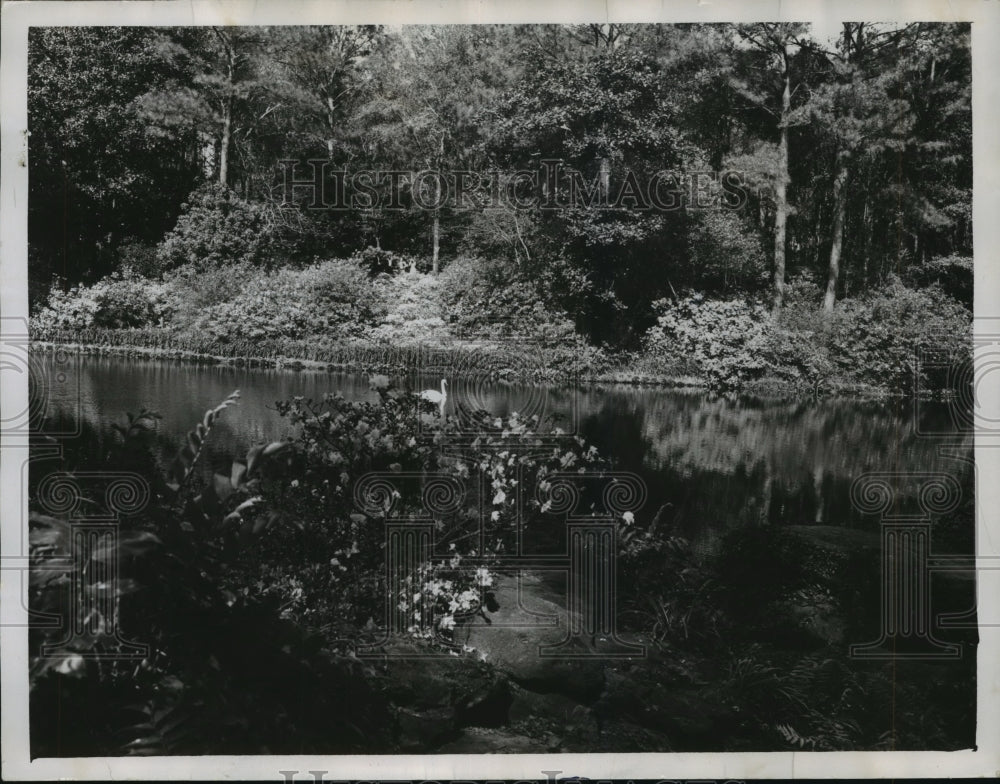 1949, Pond at Bellingrath Gardens, Mobile, Alabama - abna15951 - Historic Images