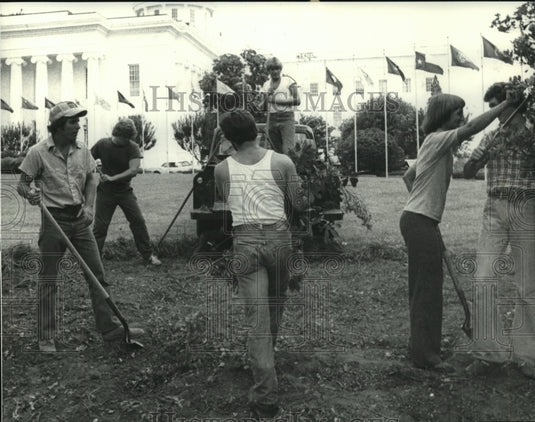 1979, College students gardening at the State Capitol, Montgomery - Historic Images