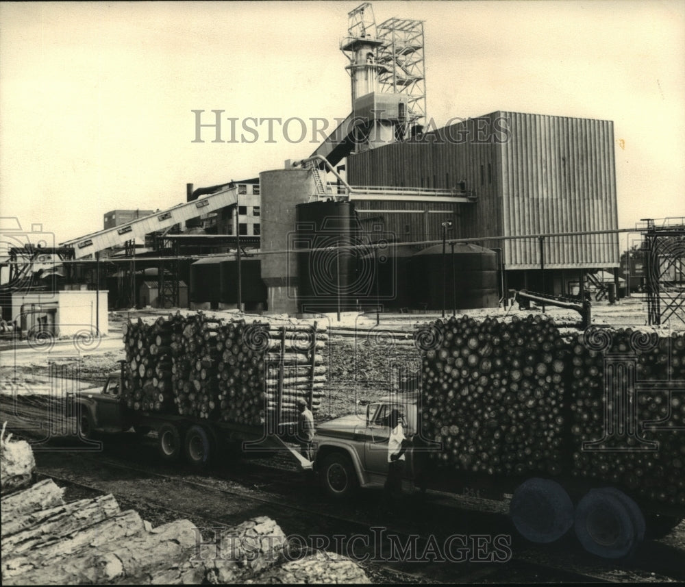 1965 Press Photo Mobile, Alabama Industries: Scott Paper Mill, Trucks with Wood - Historic Images