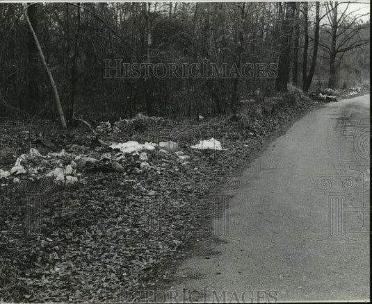 1979, Litter along a walking path, Alabama - abna16288 - Historic Images