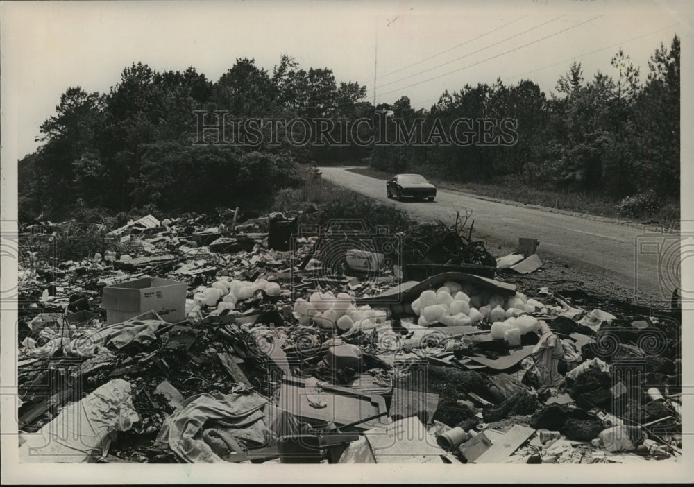 1986 Press Photo Illegal Dump, Wilson Road, Near Shannon, Alabama - abna16297 - Historic Images