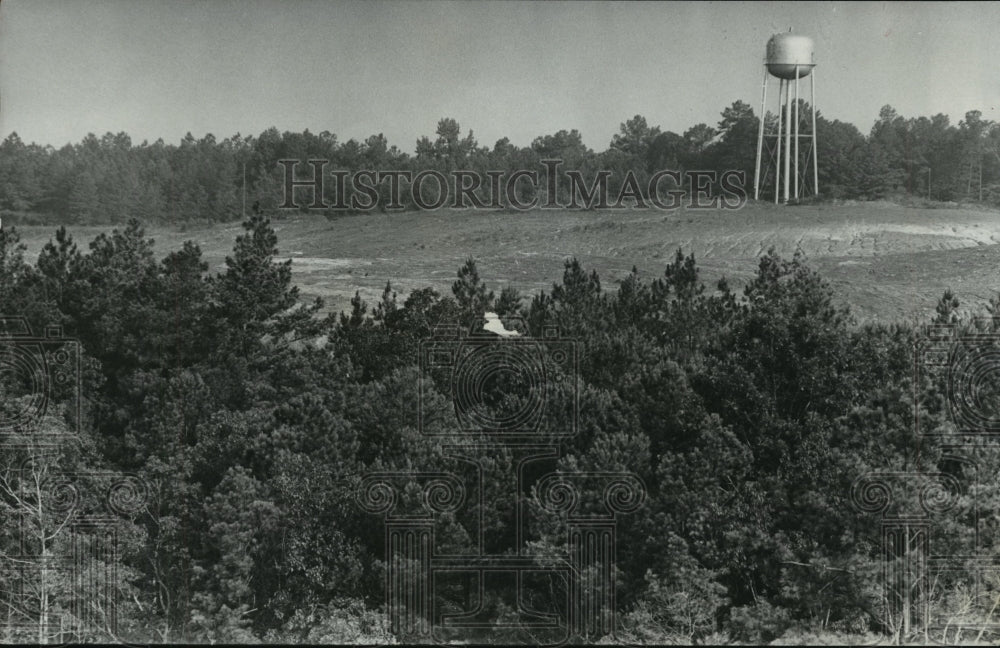 1978 Reclaimed mine site near Abernant, Alabama - Historic Images