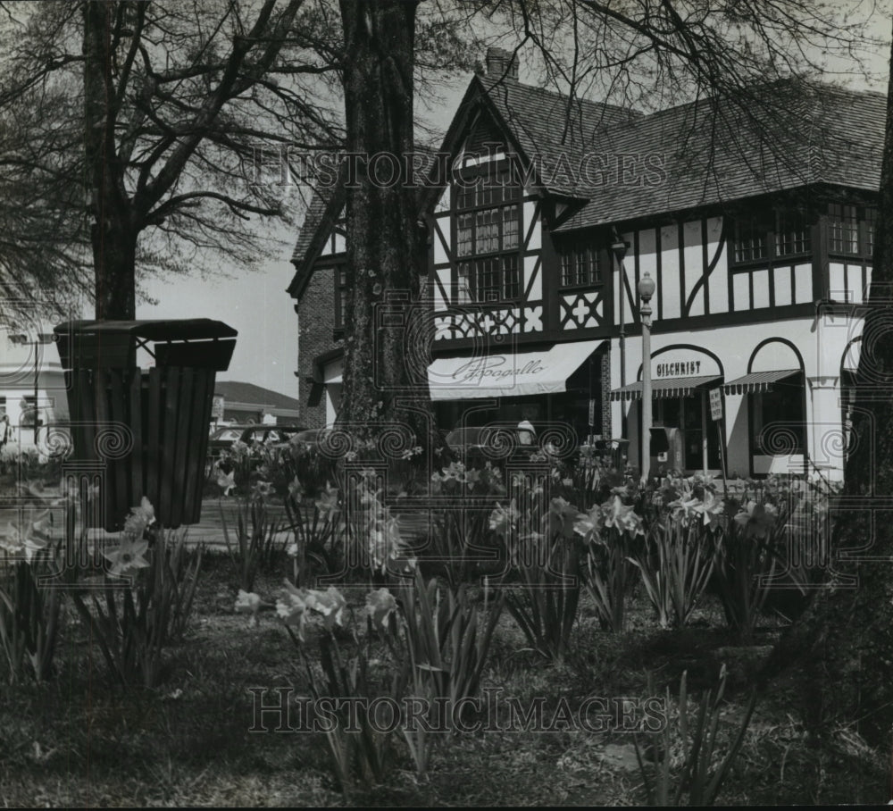 Mountain Brook Village