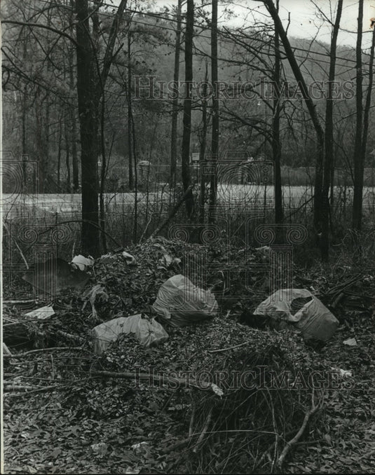 1979, Litter left in Woods - abna16684 - Historic Images