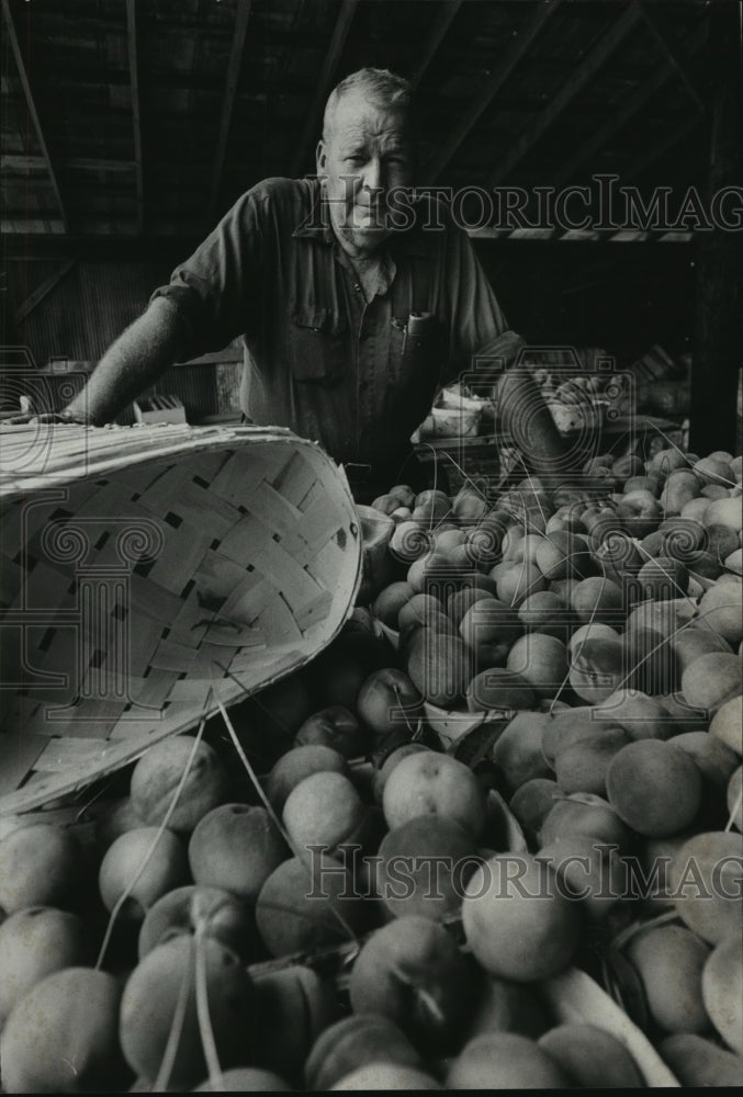 1976 Nectar, Alabama&#39;s First Mayor Eldridge Marsh, is a peach farmer - Historic Images