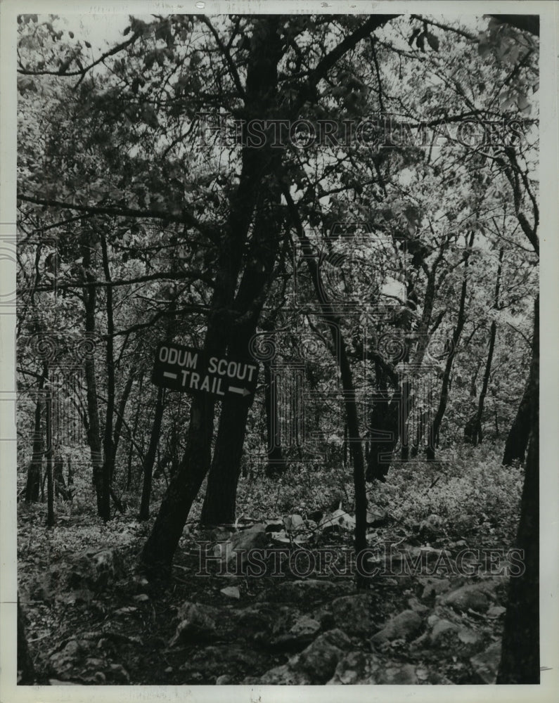 1979 Odum Scout Trail along the Pinhoti Trail, Alabama - Historic Images