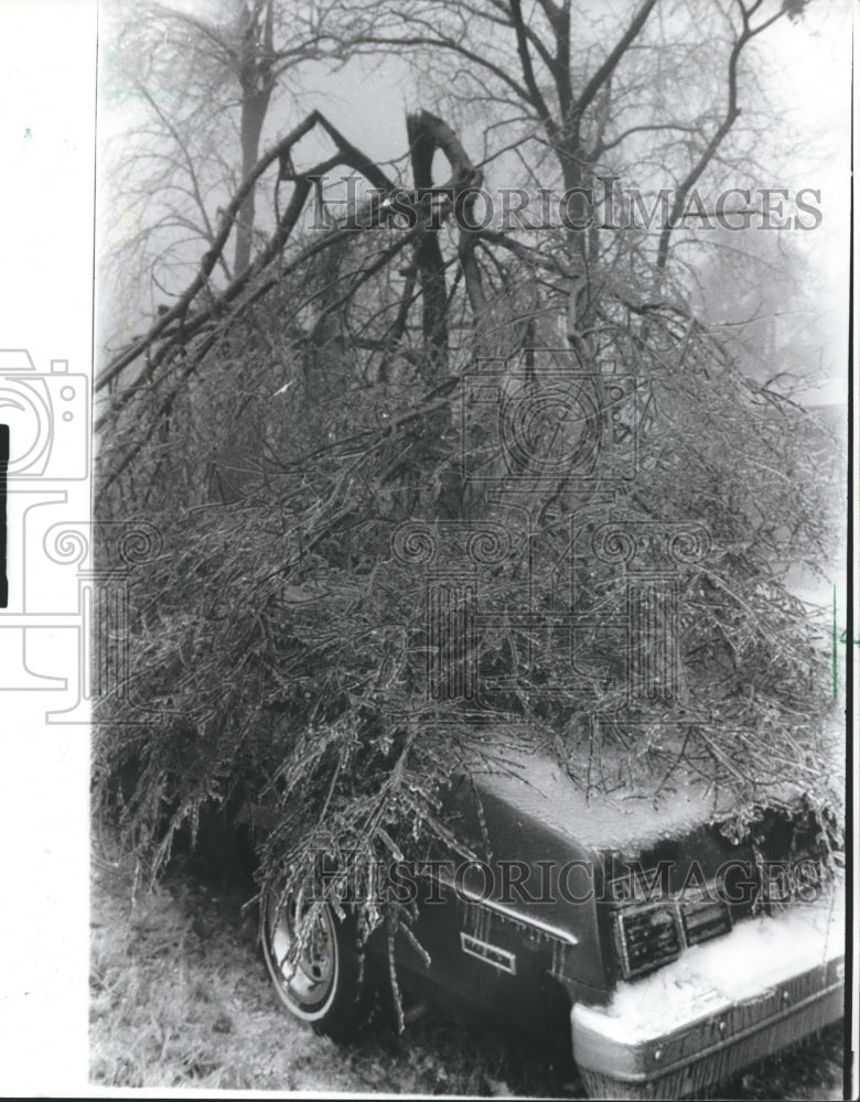 1982, Shades Mountain Tree fallen on Car because of Weather - Historic Images
