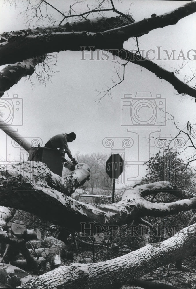 1982 Paul Hooks clearing fallen tree at 1400 57tth Place, Ensley - Historic Images