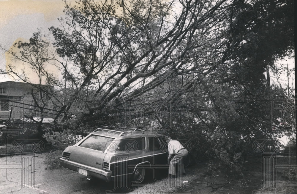 1989 Press Photo Richard Cain examines his car after a tree fell on it in Storm - Historic Images