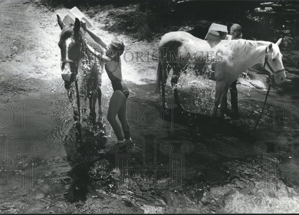 1980 Horses being cooled down from the heat in creek, Alabama - Historic Images