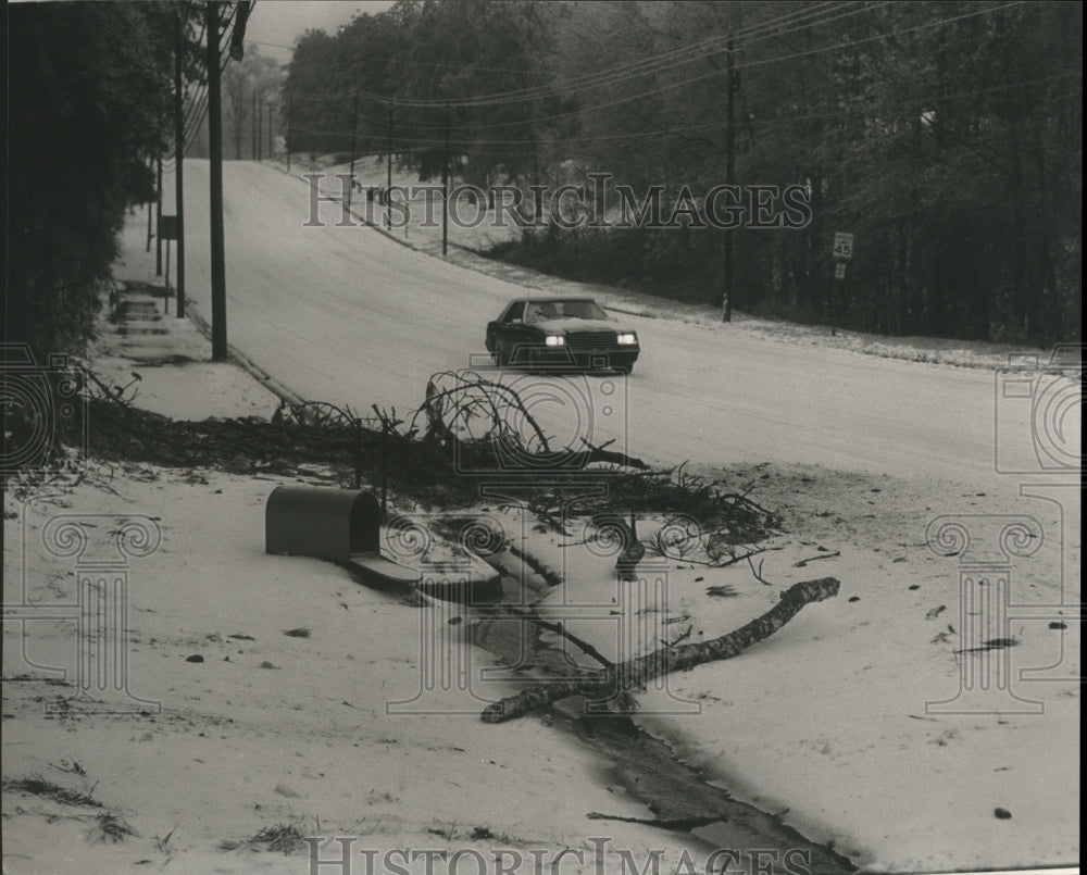 1985 Press Photo Falling Tree Limbs Hit Mailbox in Storm, Hamilton, Alabama - Historic Images