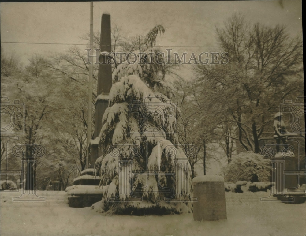 1964 Press Photo snow covered pine tree, Birmingham, Alabama - abna17813 - Historic Images