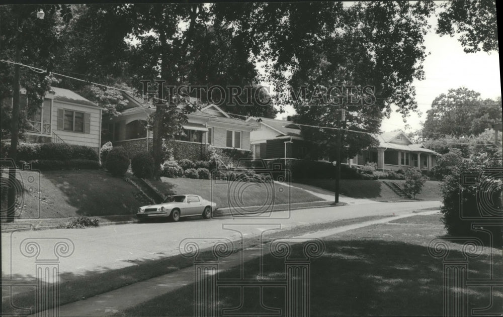 1980 Street of Homes in Woodlawn - Historic Images