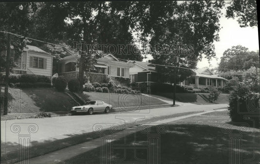 1980 Street of Homes in Woodlawn - Historic Images
