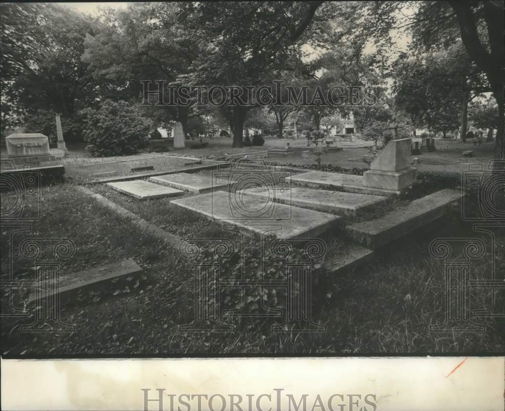 1972, Landscape view, Oak Hill Cemetery, Birmingham, Alabama - Historic Images