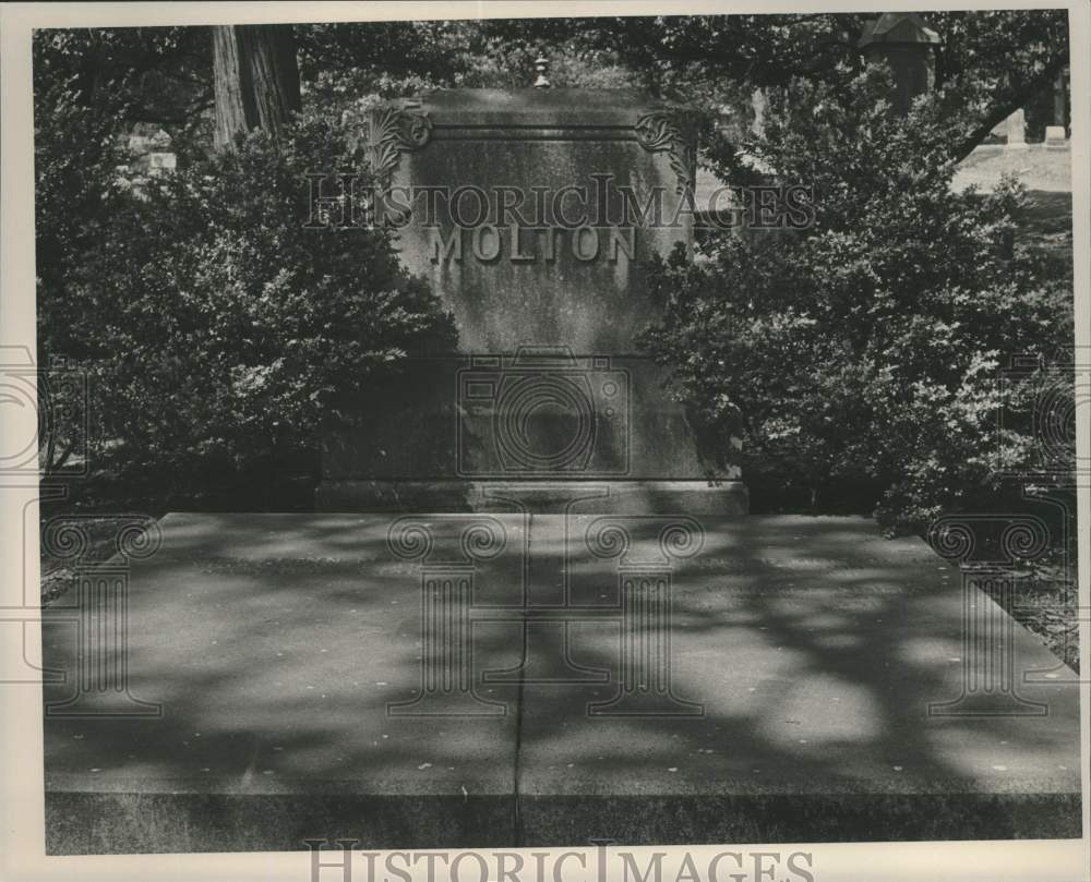 Press Photo Molton grave, Oak Hill Cemetery, Birmingham, Alabama - abna18152 - Historic Images