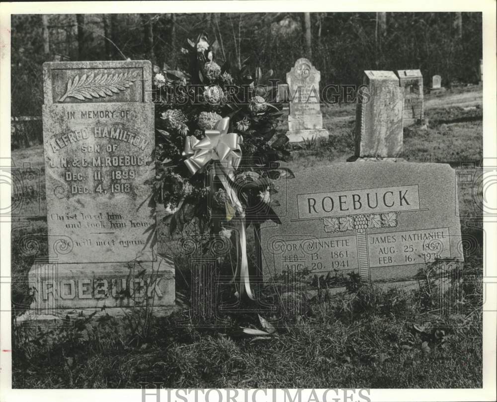 1980, Hamilton &amp; Roebuck markers, Roebuck Cemetery, Birmingham, AL - Historic Images