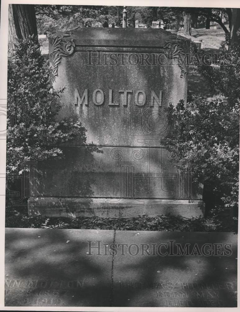 Press Photo Monument at Oak Hill Cemetery, Birmingham, Alabama - abna18273 - Historic Images